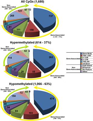 Intrauterine Reprogramming of the Polycystic Ovary Syndrome: Evidence from a Pilot Study of Cord Blood Global Methylation Analysis